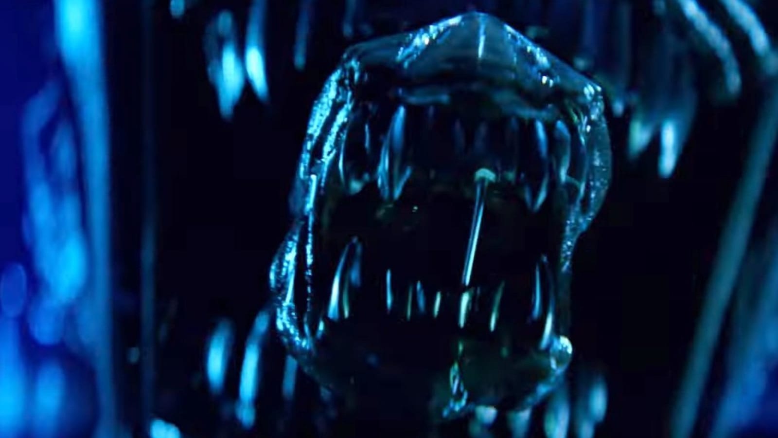 ALIEN: EARTH Teaser Arrives in Disney+ and Hulu 2025 Slate Trailer