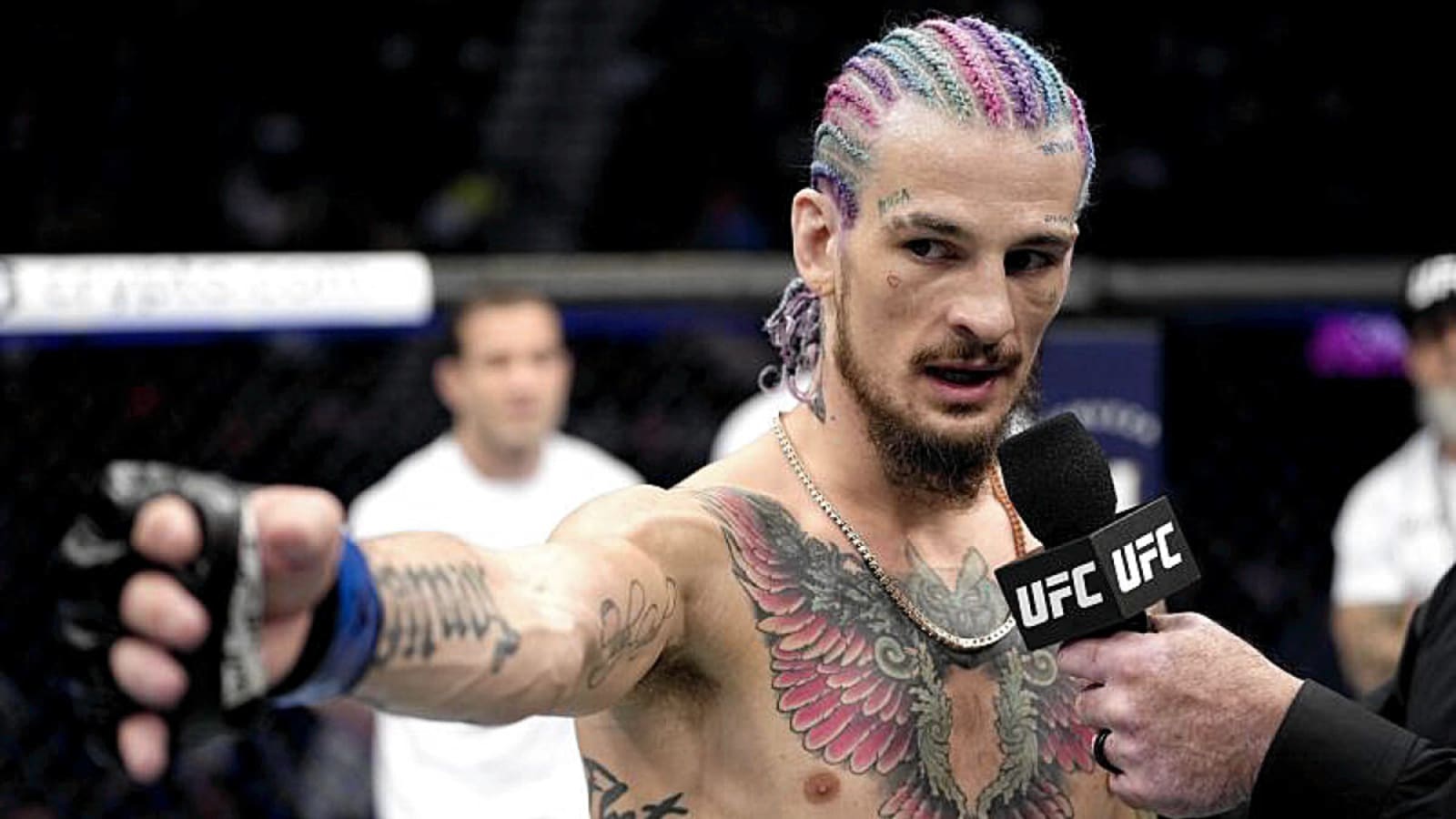 Sean O&#39;Malley on the mend and back in the gym