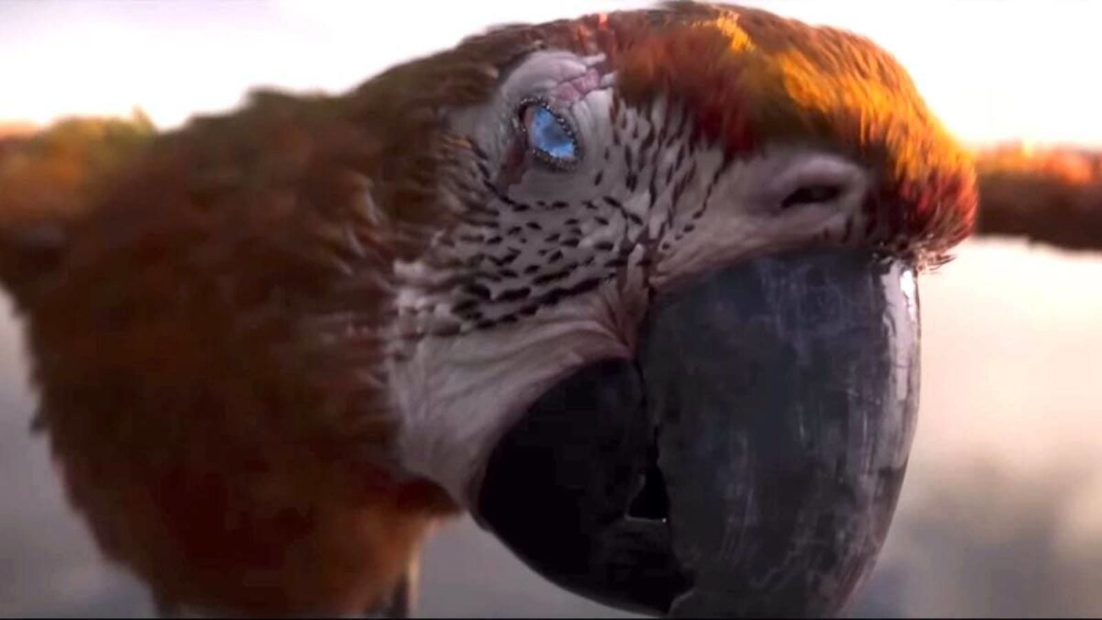 Julia Louis-Dreyfus Encounters a Strange Bird of Death in TUESDAY’s Moving First Trailer