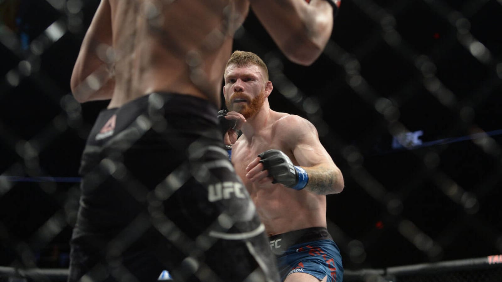 Ex-UFC Fighter Questions Paul Felder&#39;s Return Talk: &#39;You Have A Great Job Sitting Cageside&#39;