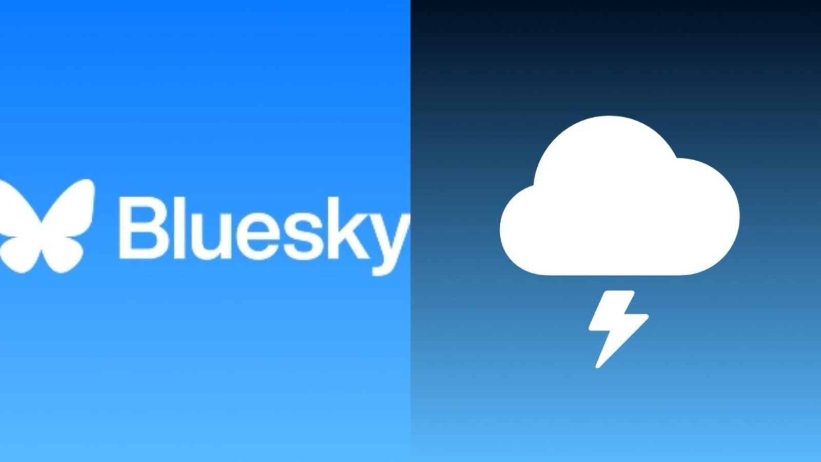 Bluesky Will Launch Flashes, a Photo Sharing App and Potential Alternative to Instagram