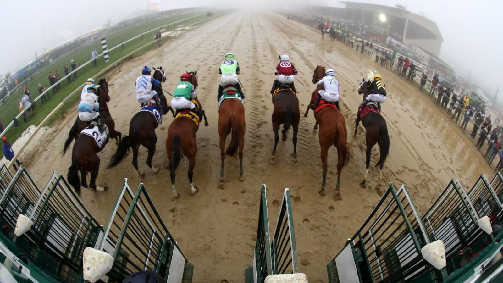 2024 Preakness Stakes odds, best bets: Expert picks to win, exacta, trifecta, superfecta
