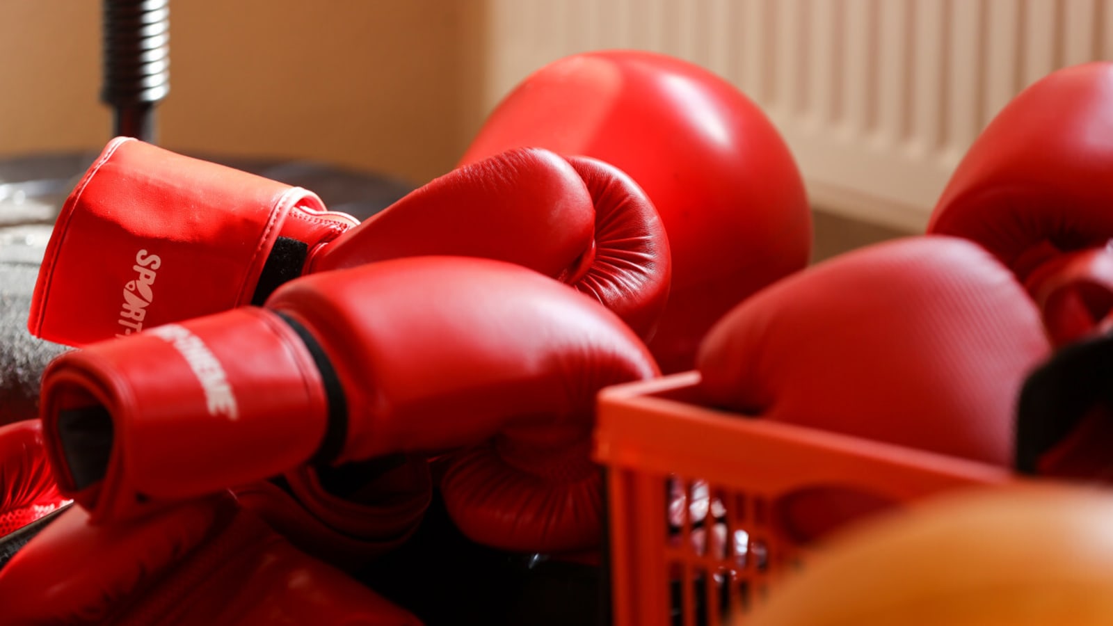 Professional Boxer Passes Away Just Days After Winning Championship