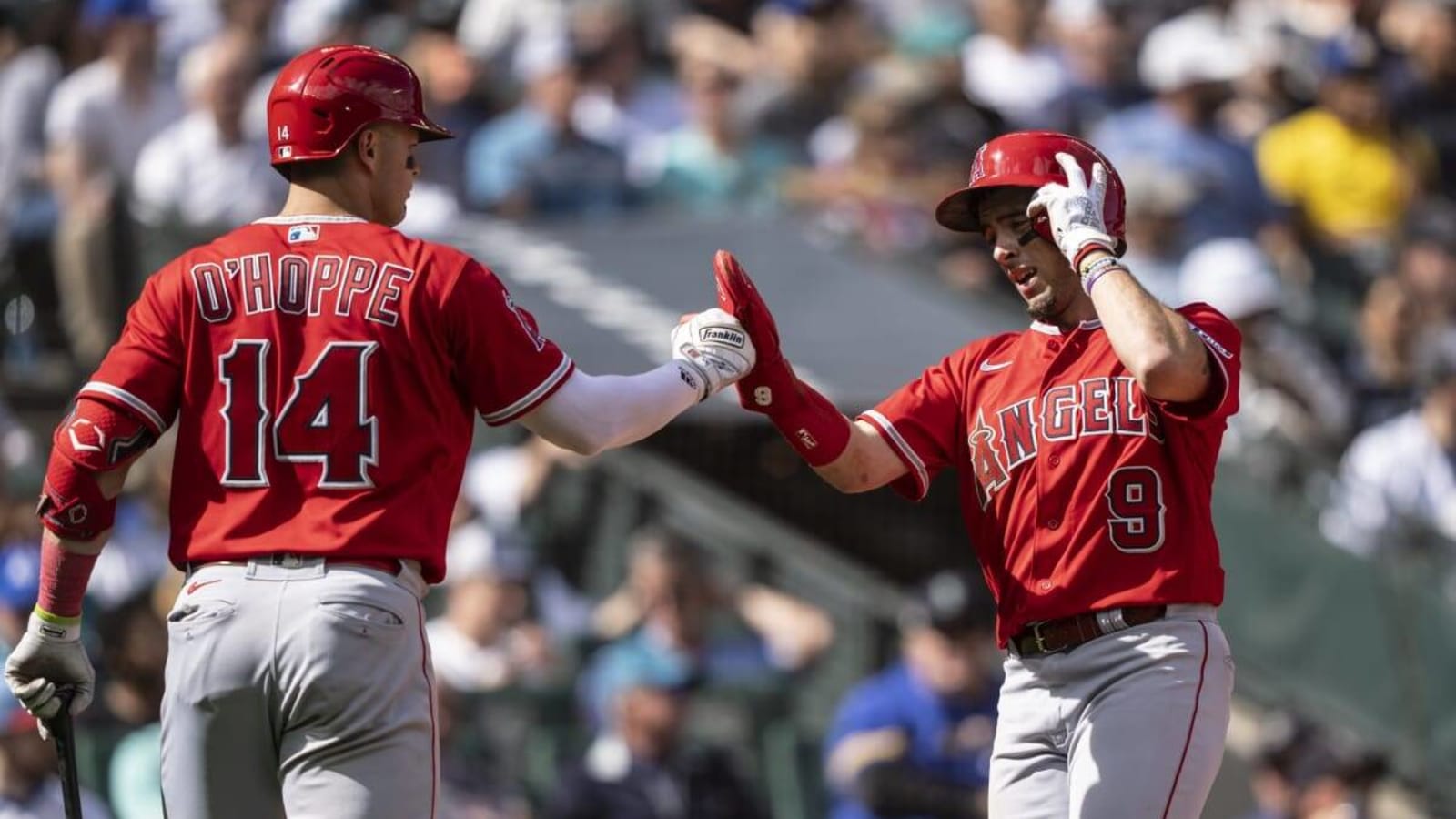  Phil Nevin Expects Logan O’Hoppe, Zach Neto to Become Future Leaders of Halos