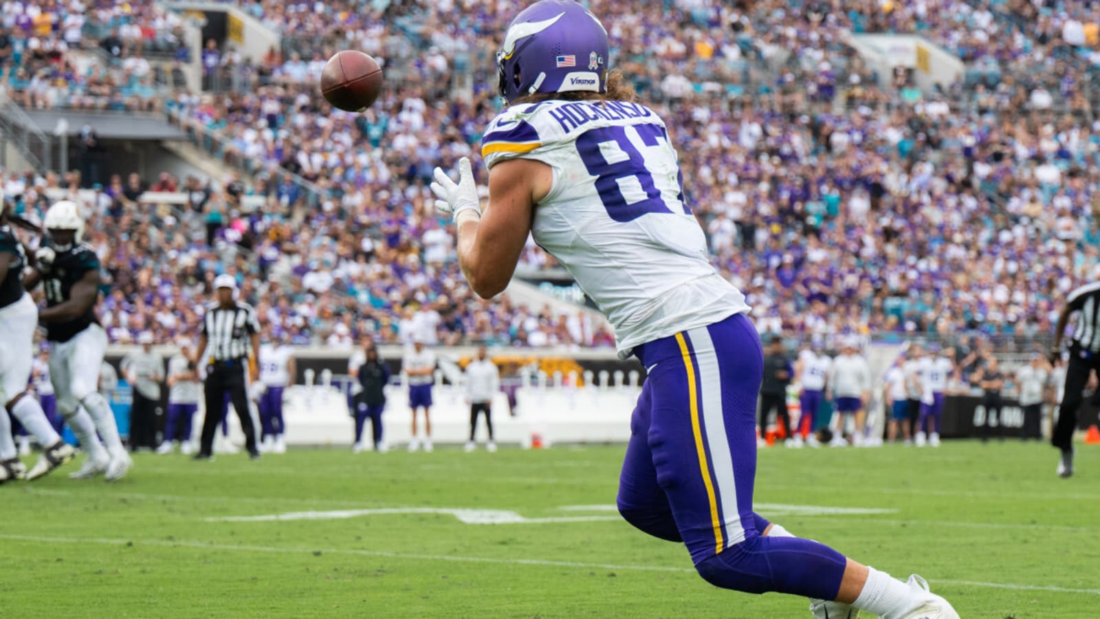 Vikings&#39; Week 11 snap counts vs. Titans raises multiple questions on both offense and defense