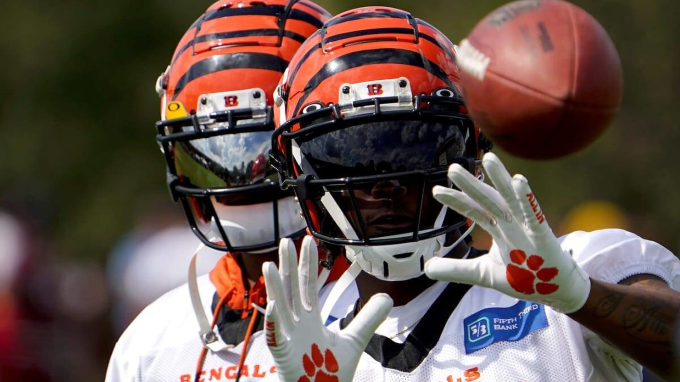 Bengals Injury Roundup: Latest on Tee Higgins, Trent Taylor, Devin Asiasi  and More