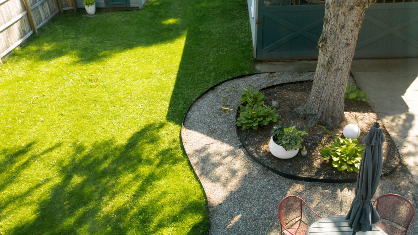Do Grass and Weed Killers Harm Trees?