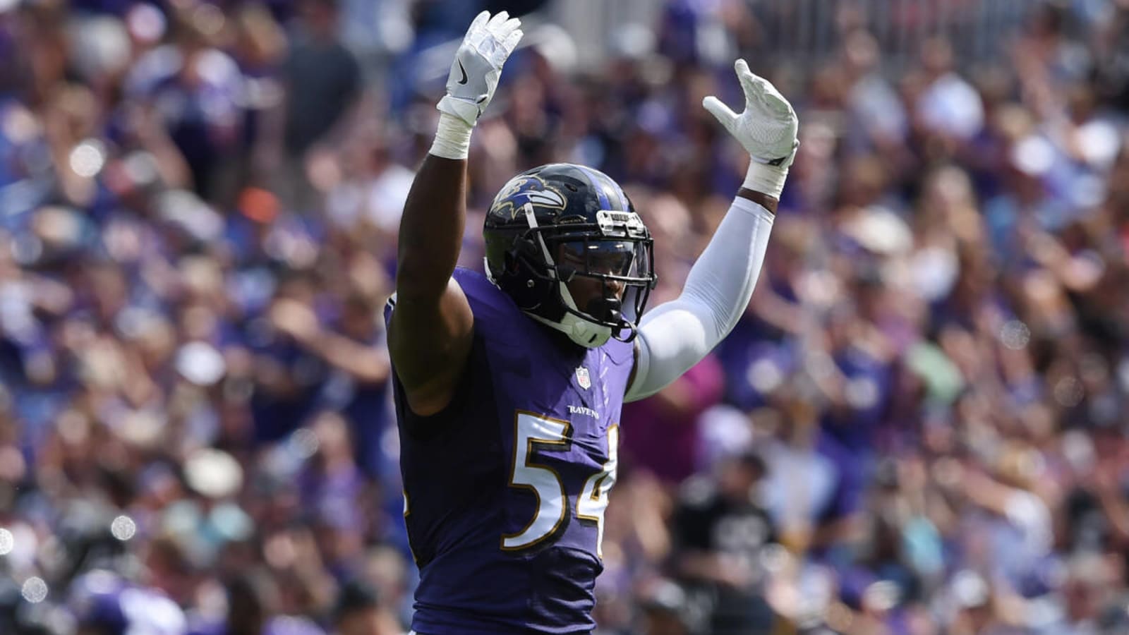 Report: Ravens to Promote Zach Orr to Defensive Coordinator