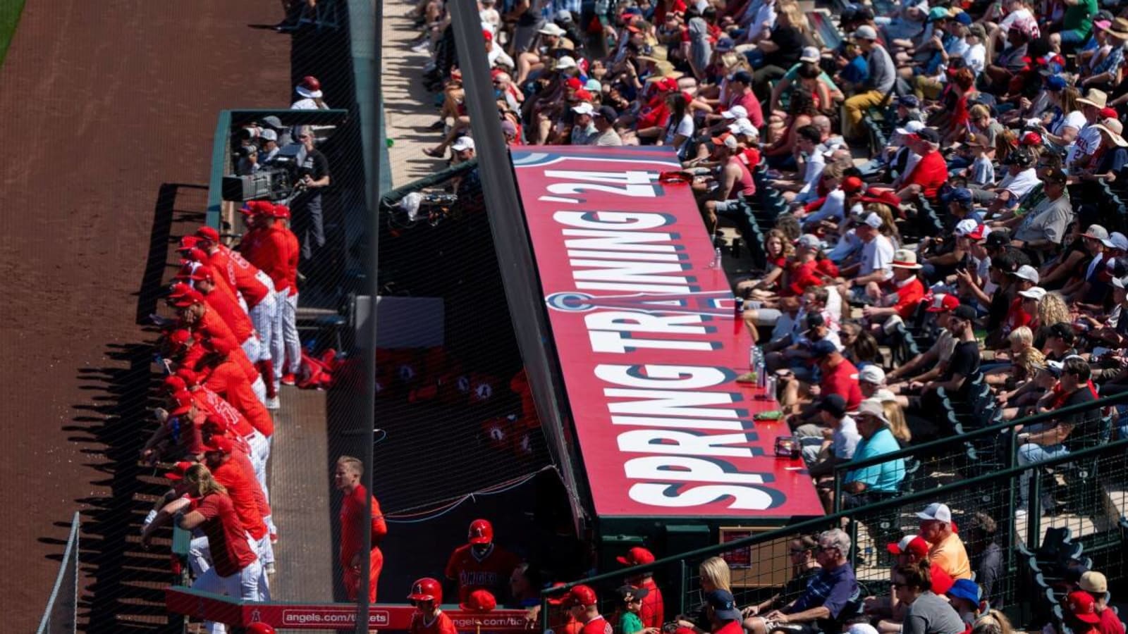 Angels&#39; Coach Excited By New Pitching Lab Project