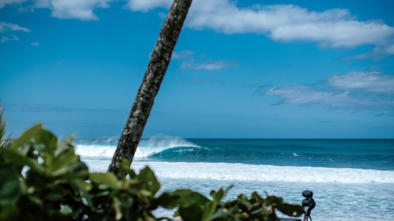 Video: How To Build A $4,000 House In Hawaii