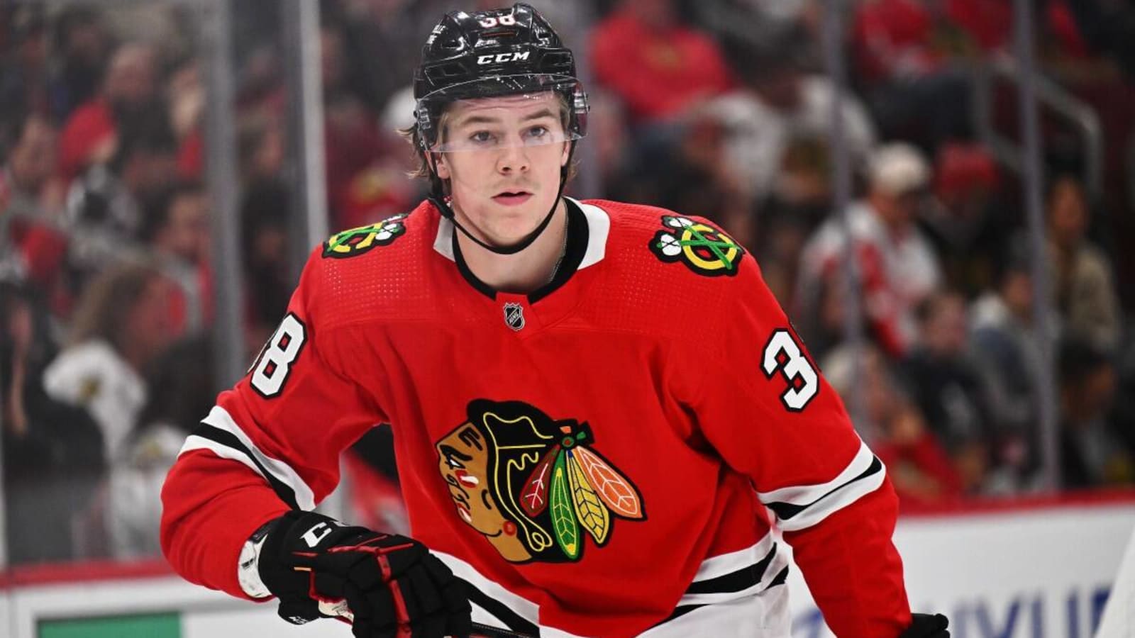Blackhawks Assign Ethan Del Mastro to Rockford