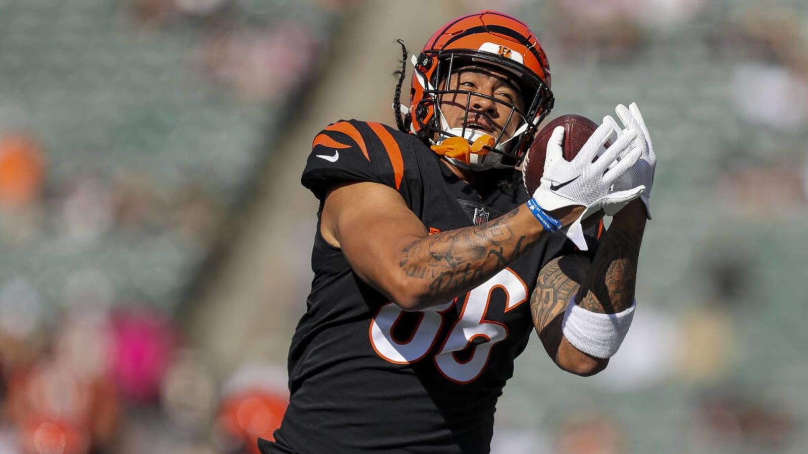 Report: Browns Add Former Bengals Tight End to Practice Squad