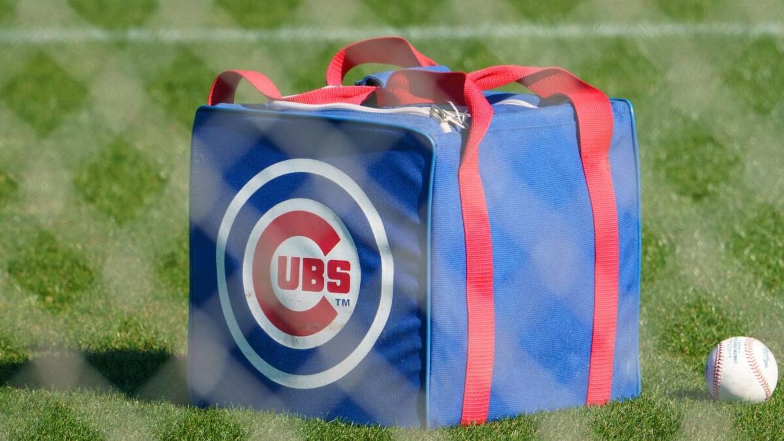 On This Day in History: The Cubs Hire a New Manager