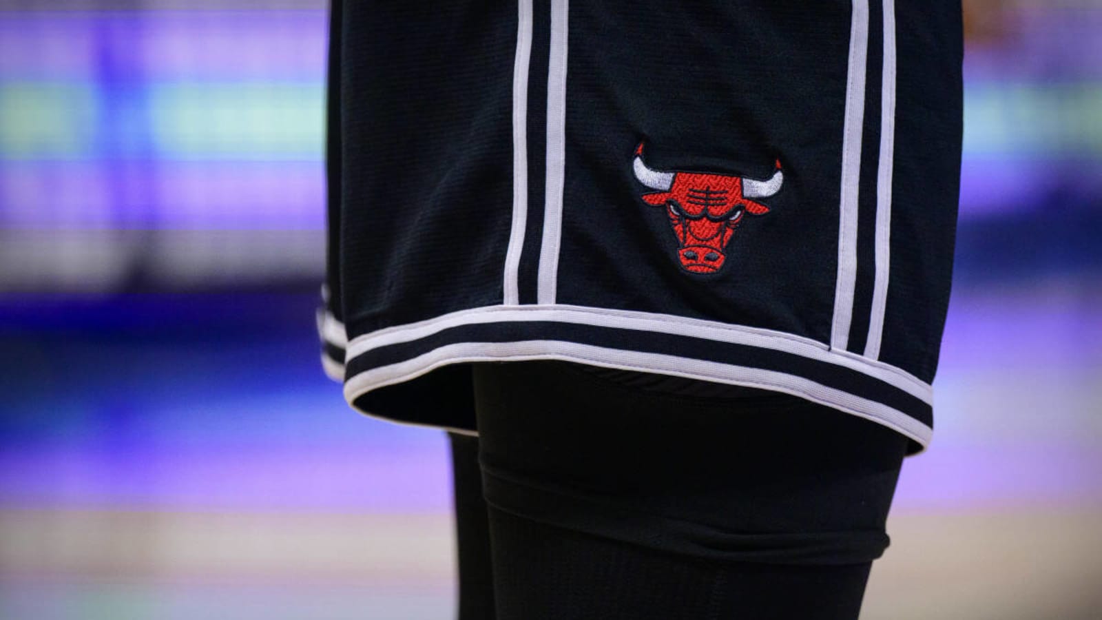 Can a Chicago Bull win an individual award at the end of the season?