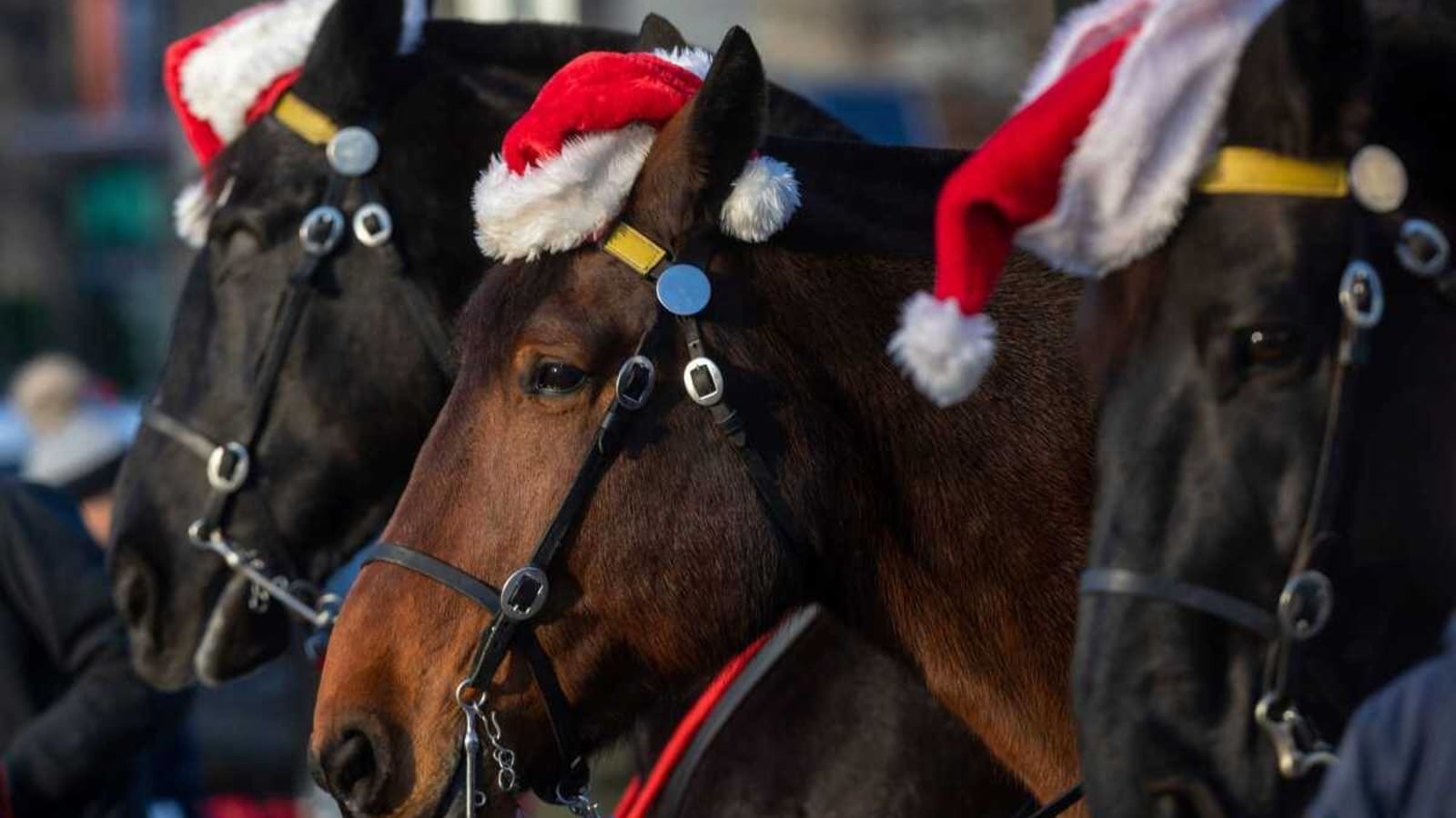 How a Cowboy Saved Christmas