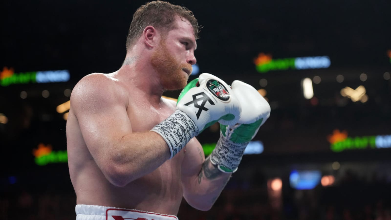 Terence Crawford Vs. Canelo Alvarez Showdown Called Off