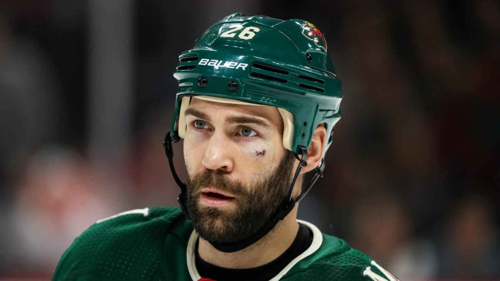 Daniel Winnik announces retirement after 19-year pro career