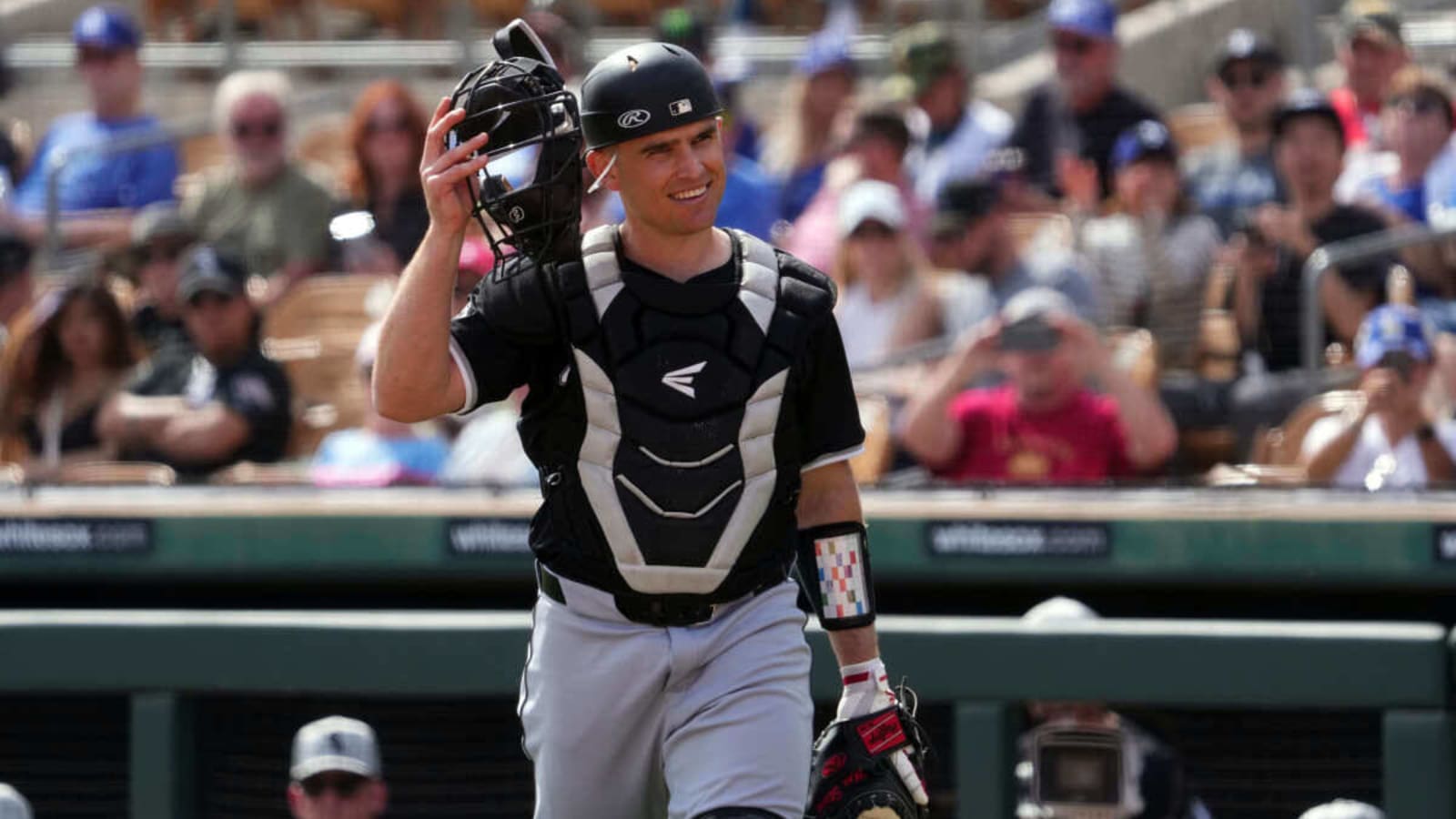 White Sox Make Roster Move Involving Catchers