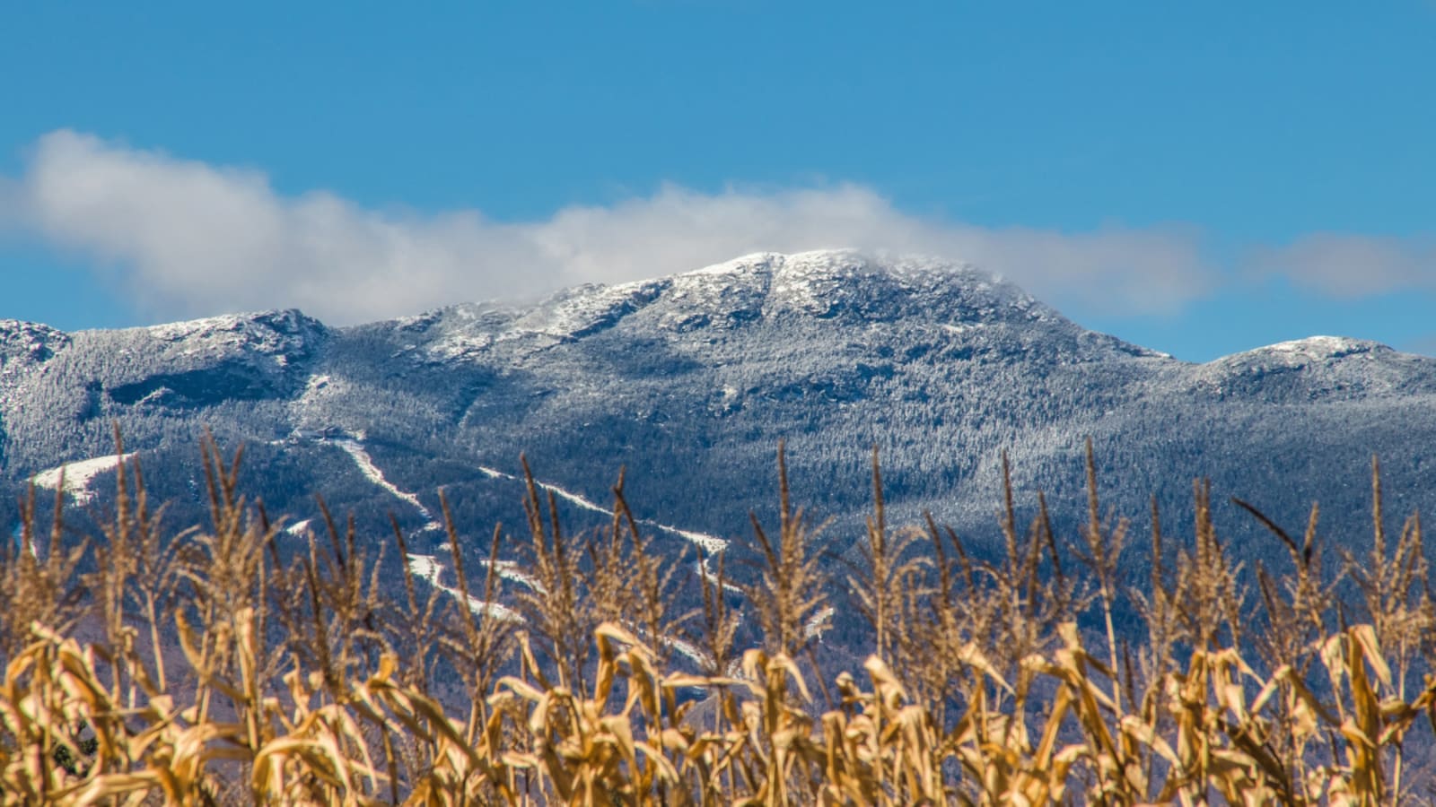 “Historic Season in the Making” As Snow on Vermont’s Tallest Peak Stacks Up