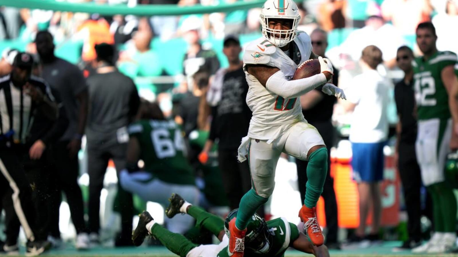 Waddle Not Going Anywhere