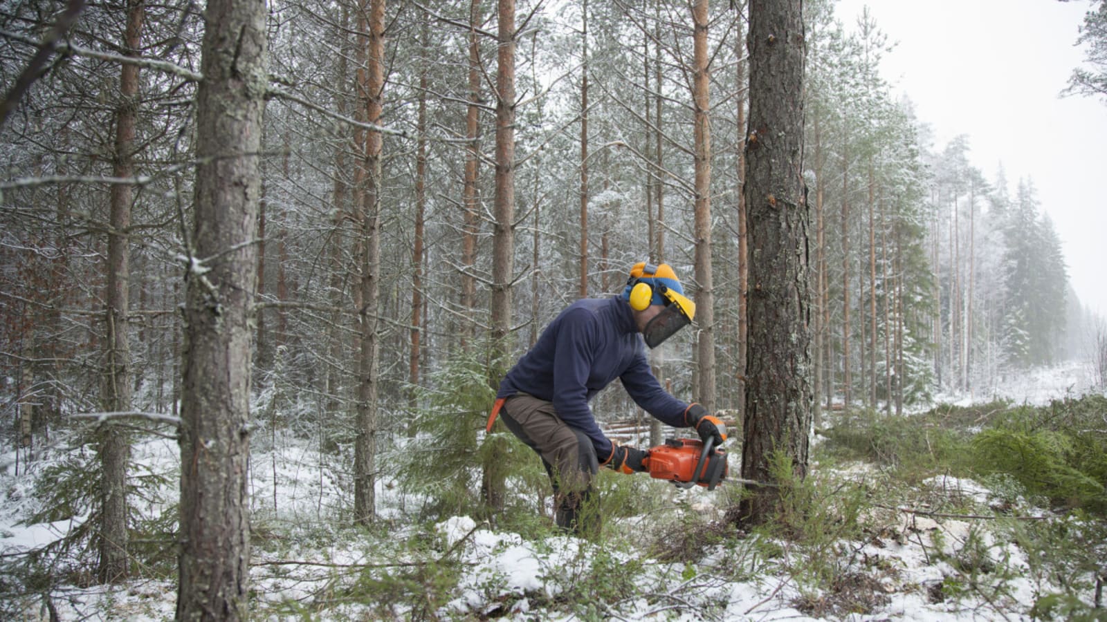 How to Winterize a Chainsaw