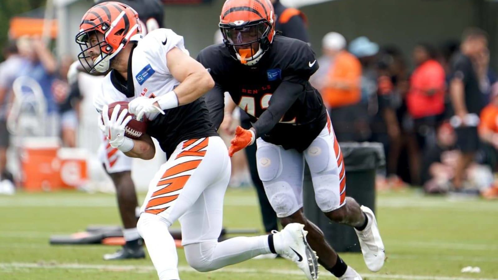 Bengals Make Flurry of Moves Ahead of Sunday&#39;s Matchup With Panthers