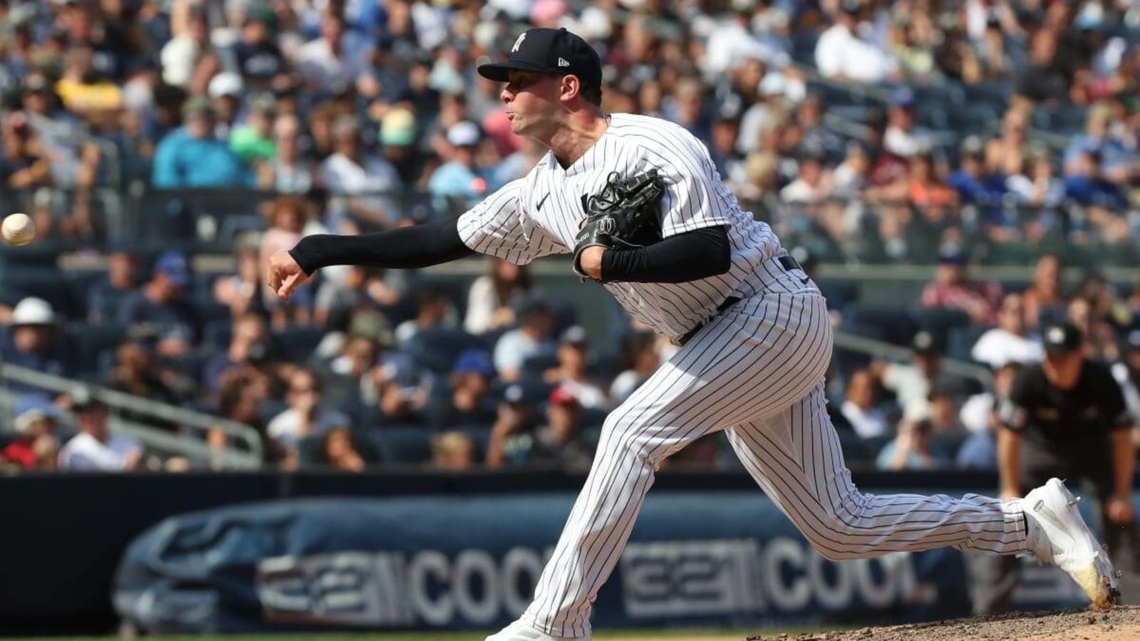 Yankees Injury Update: Scott Effross