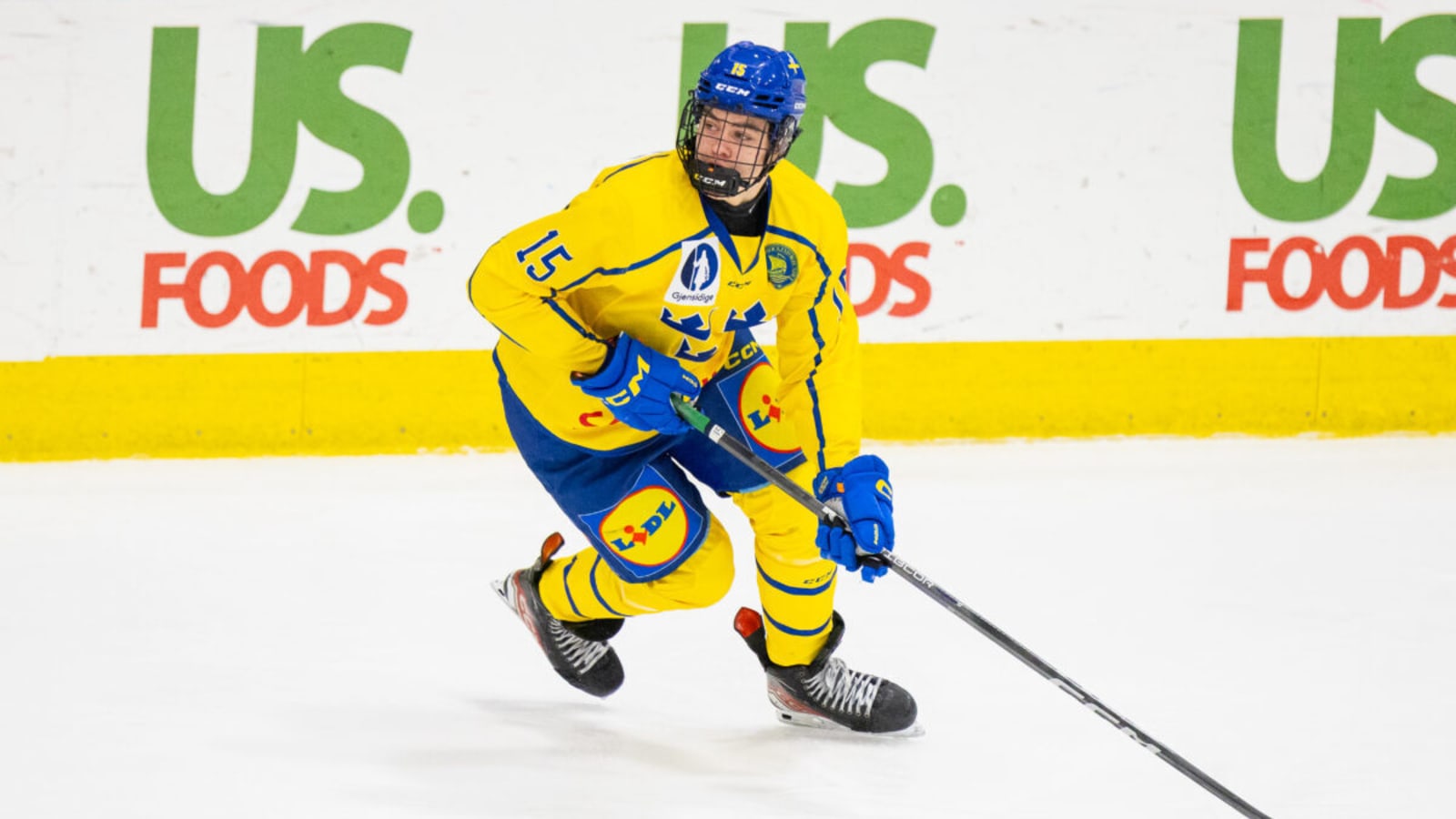 Anton Frondell – 2025 NHL Draft Prospect Profile