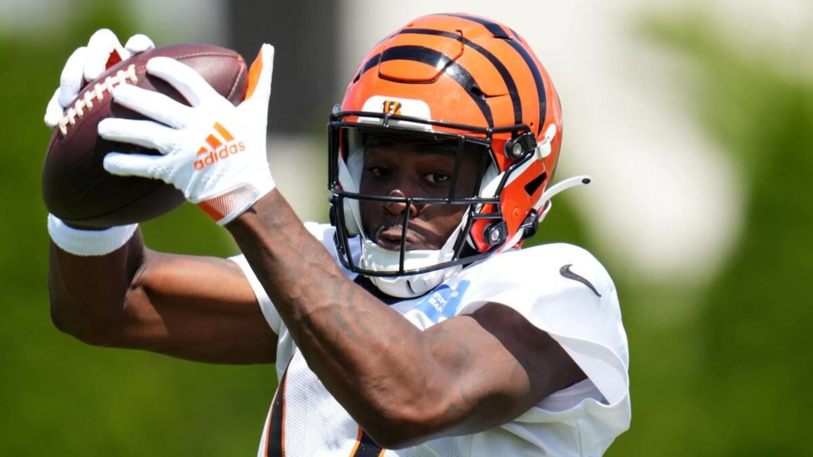 Bengals Elevate Two Players From Practice Squad Ahead of Season Finale Against Browns