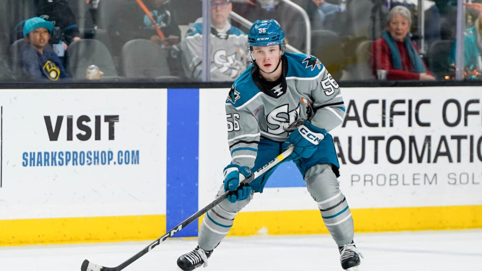 Get to Know San Jose Sharks Prospect Ethan Cardwell