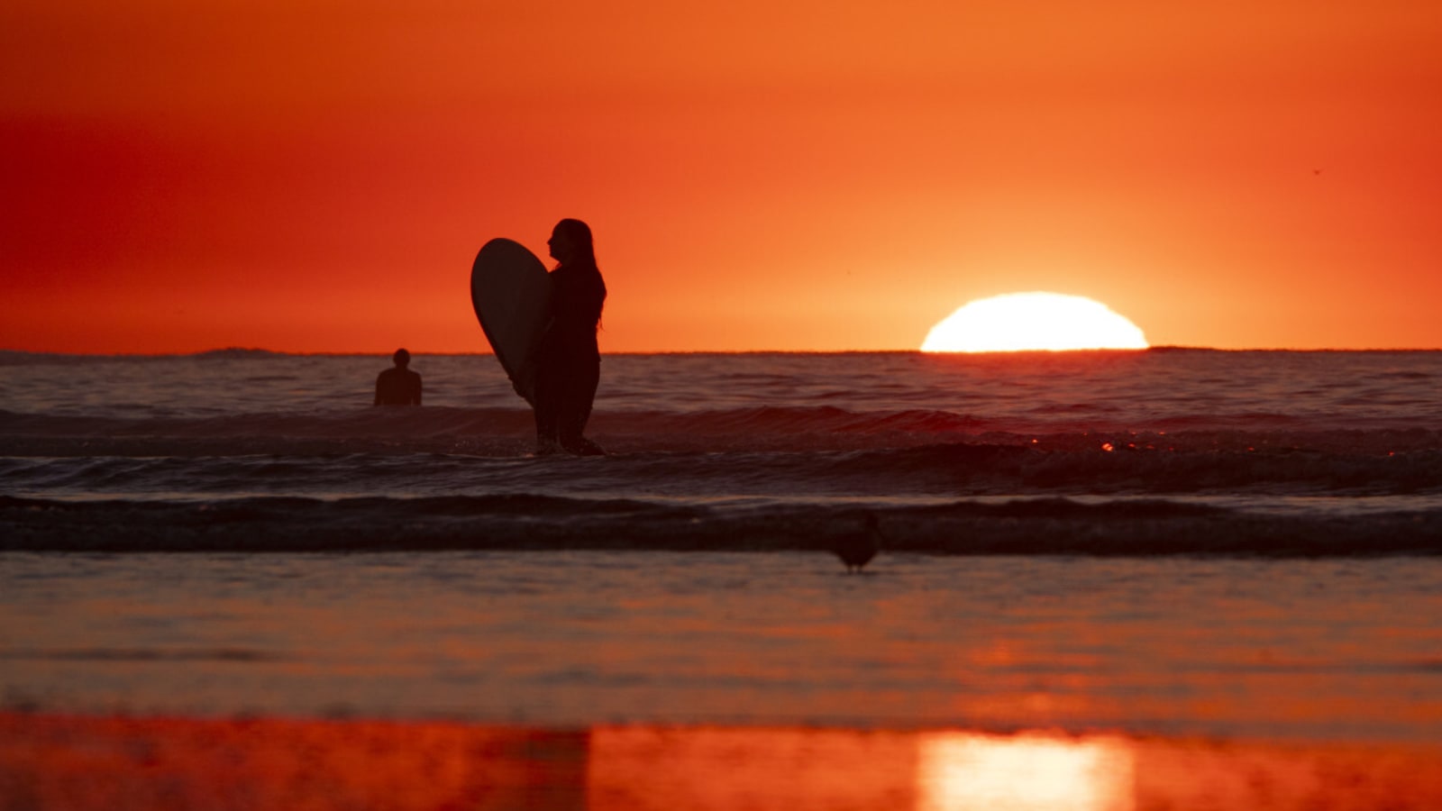 Ocean Warming Has Quadrupled Since 1980s, Study Shows