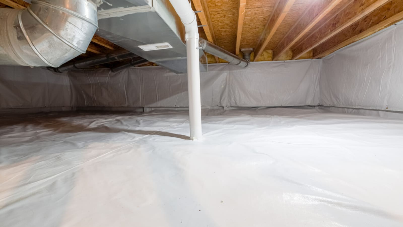 Why Does My Basement Smell So Musty?
