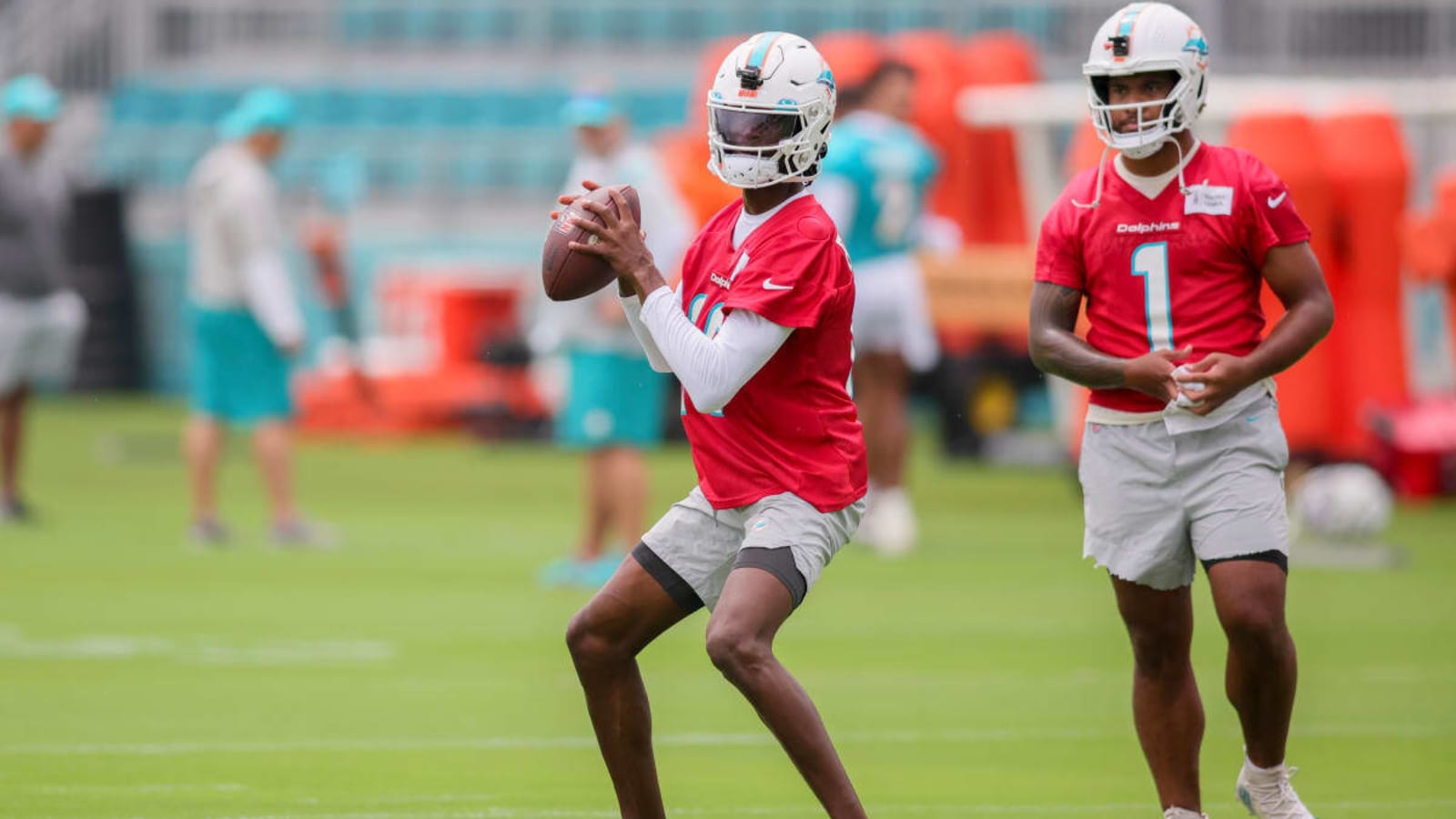 Miami Dolphins Release Former Florida State Quarterback Before First miami-dolphins-release-former-florida-state-quarterback-before-first