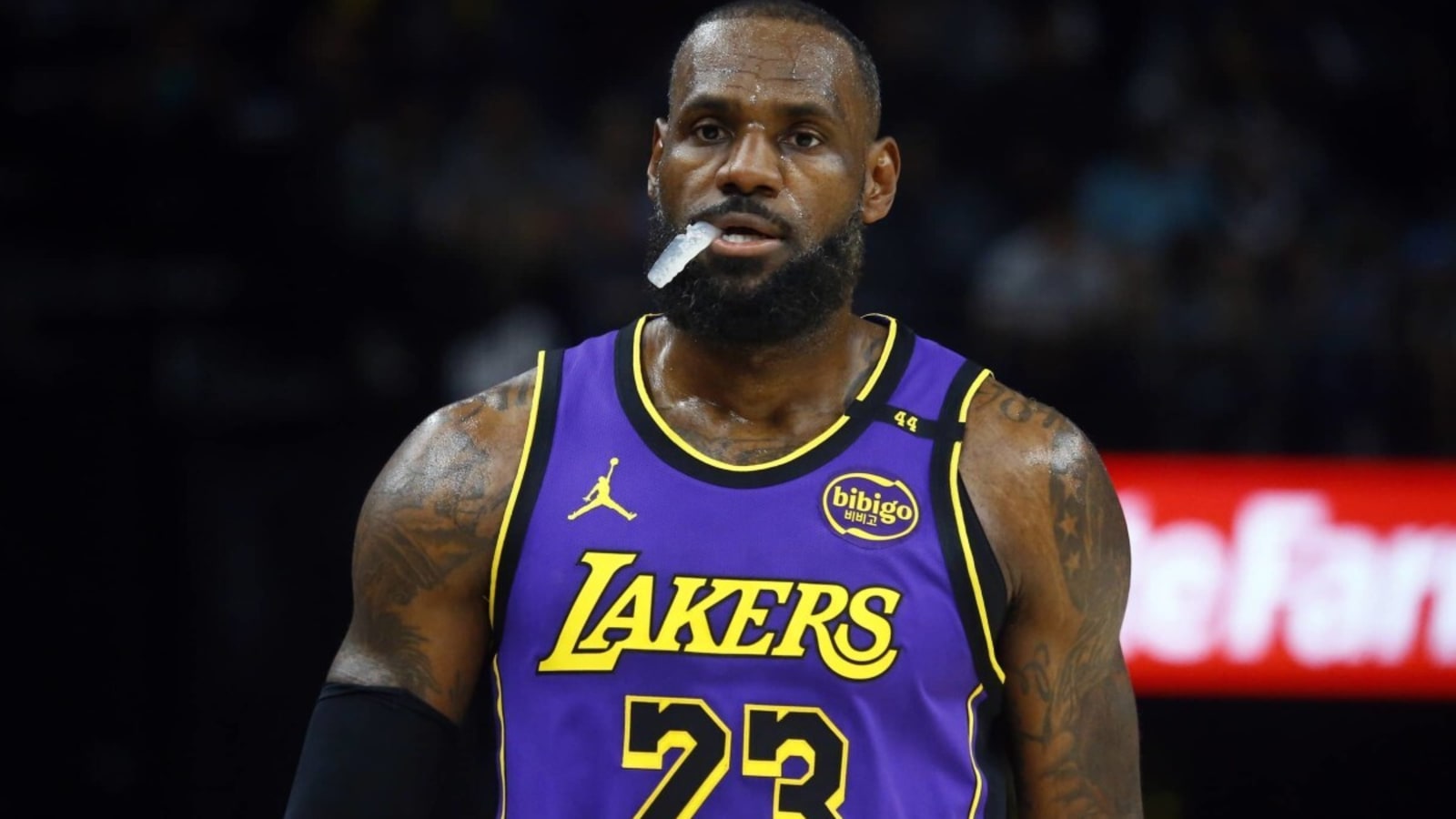 Attractive Woman Tries To Grab LeBron James&#39; Attention At Lakers-Grizzlies Game