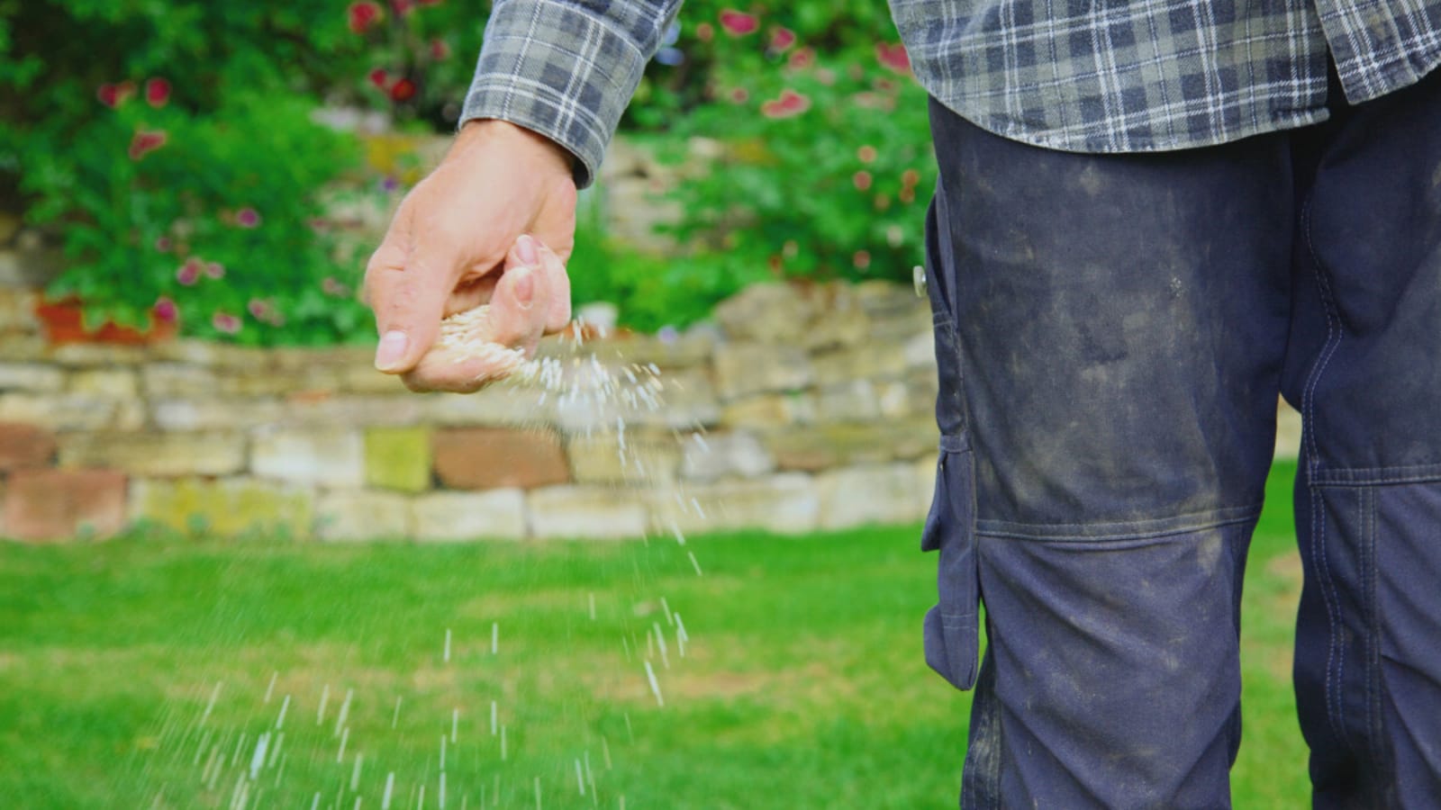 How to Overseed Your Lawn