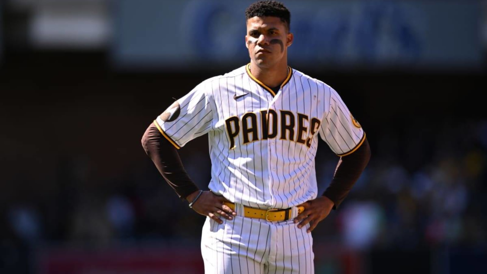 Padres News: MLB Insider Believes Players 'Penalized' Fernando