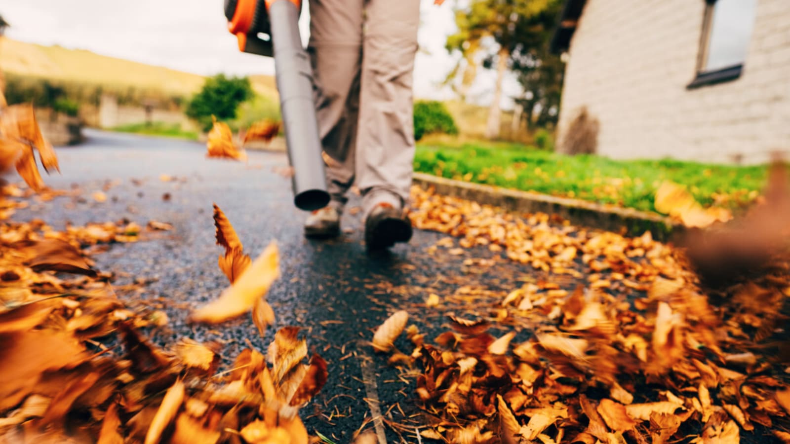 How Much Does it Cost to Have a Lawn Crew Manage Your Fall Leaves?