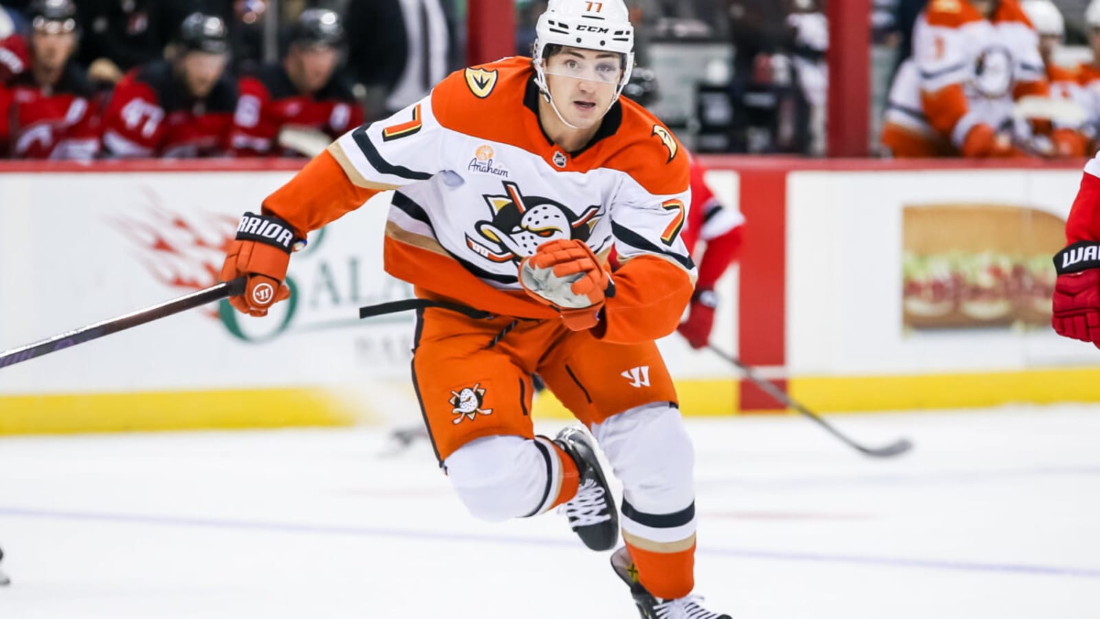 Ducks Veteran to Watch in Second Half: Frank Vatrano
