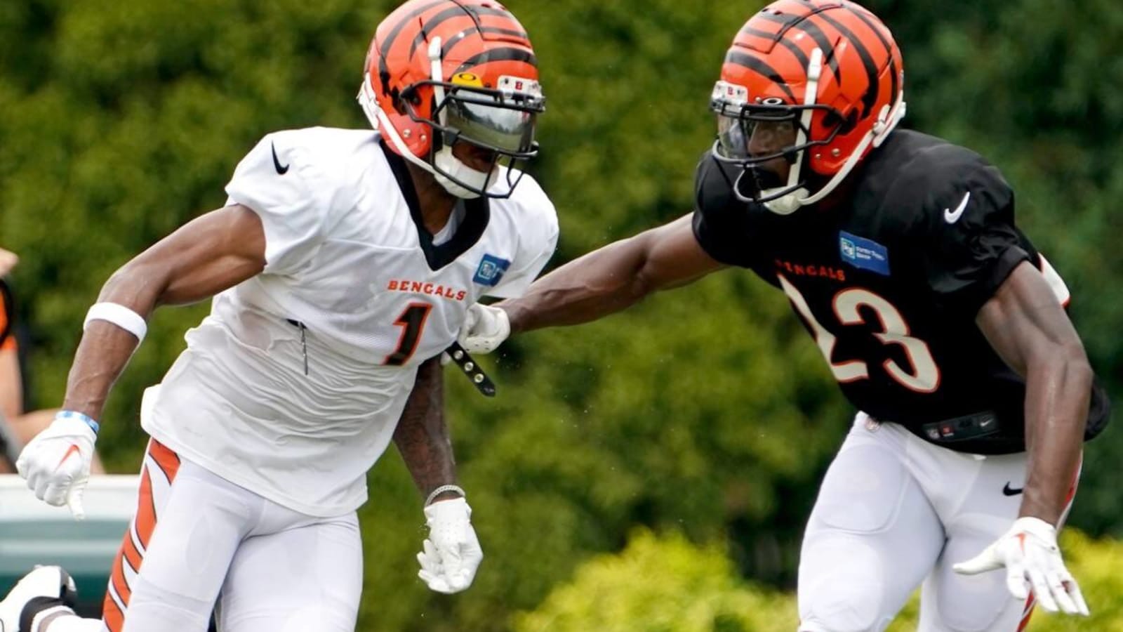 Major Outlet Names Dax Hill as Bengals 2023 X Factor