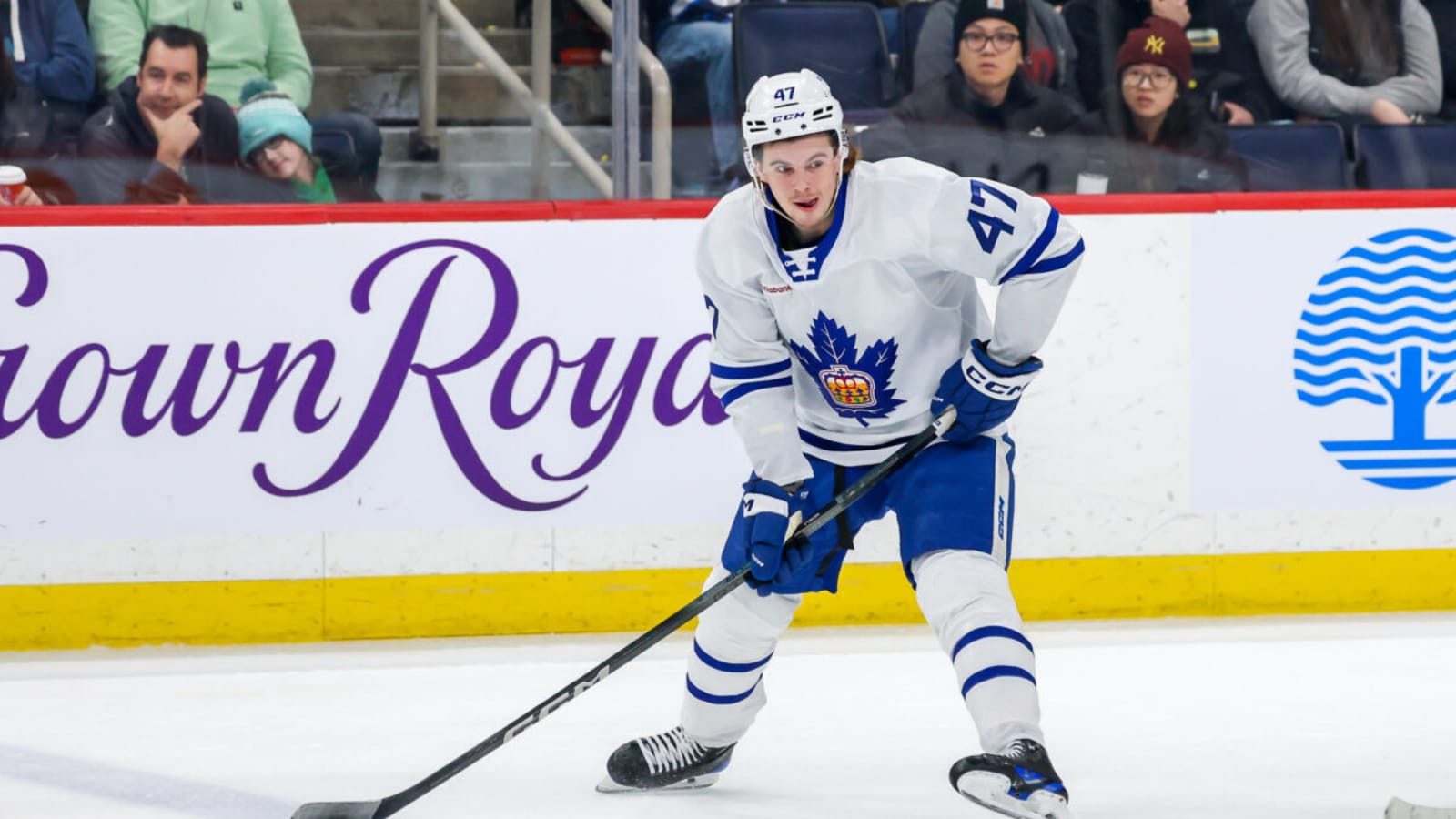 Toronto Marlies’ 3 Stars for November 2024