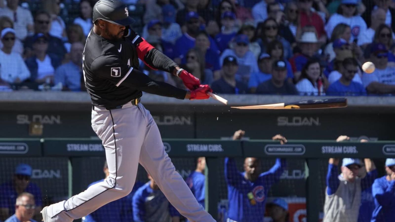 Chicago White Sox&#39; Primary DH Could Make Return to the Field in 2024