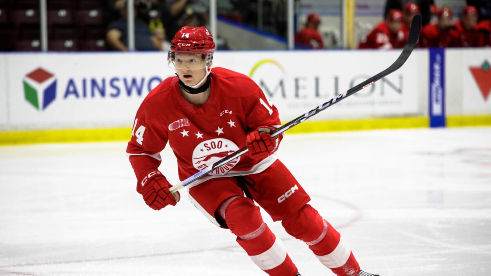 Utah’s Duo to Watch: Inside Owen Allard and Noel Nordh’s Journey to the Pros