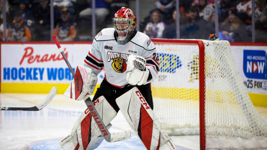 Kings’ Goaltending Pipeline Has Gone From Rags to Riches