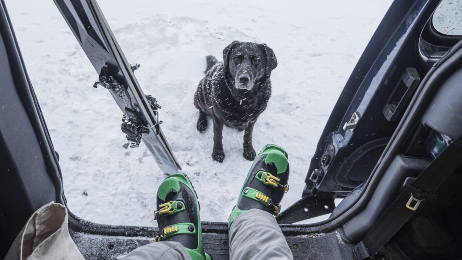 The 7 Best Dog-Friendly Ski Resorts in North America