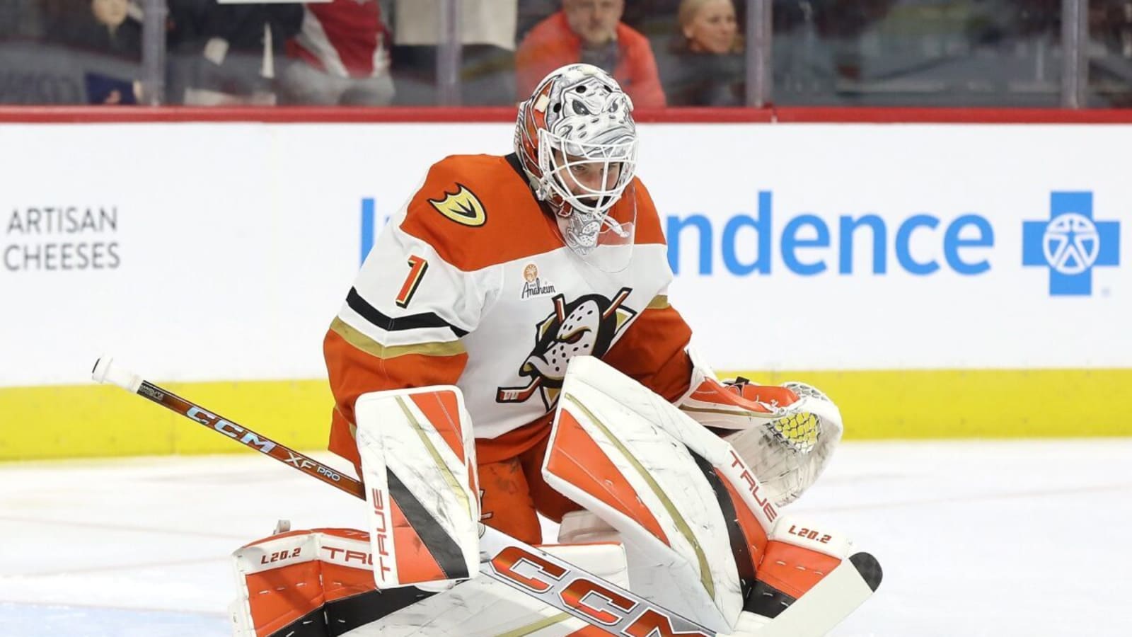 Anaheim Ducks Are Finally Clicking