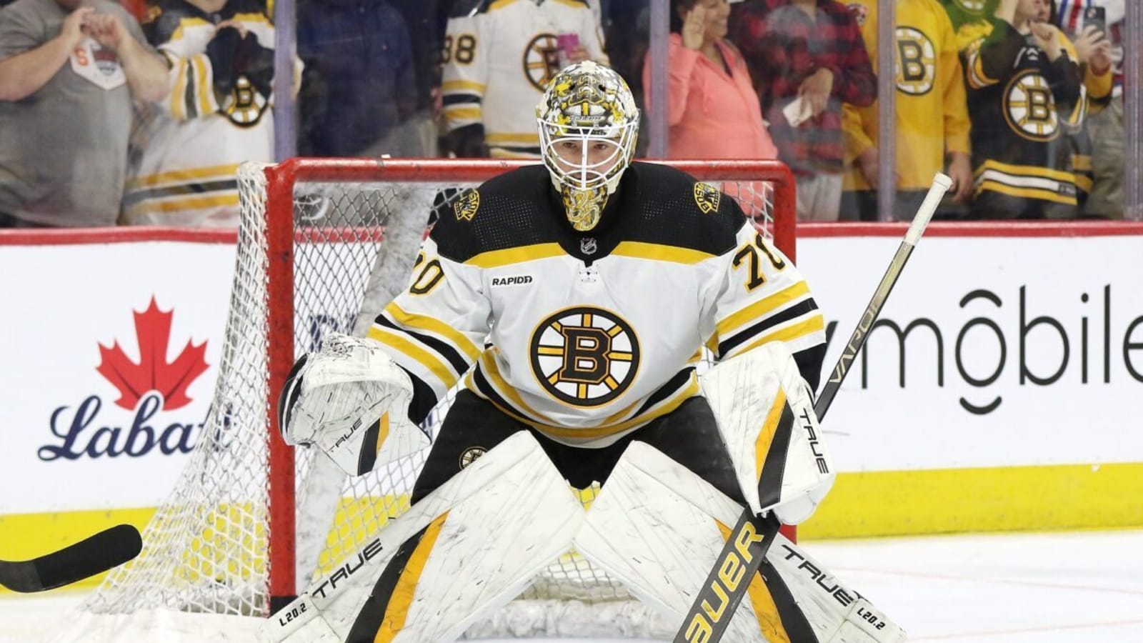 2 Bruins Players to Keep an Eye on This Preseason