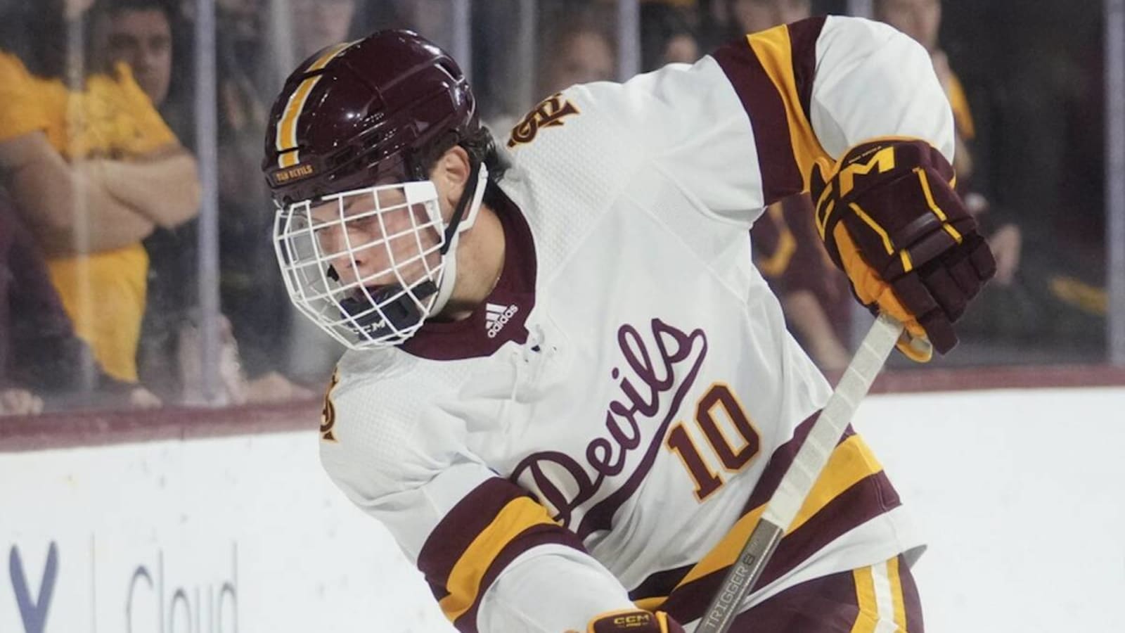 &#39;No place in college hockey for what happened&#39;: MN native suspended