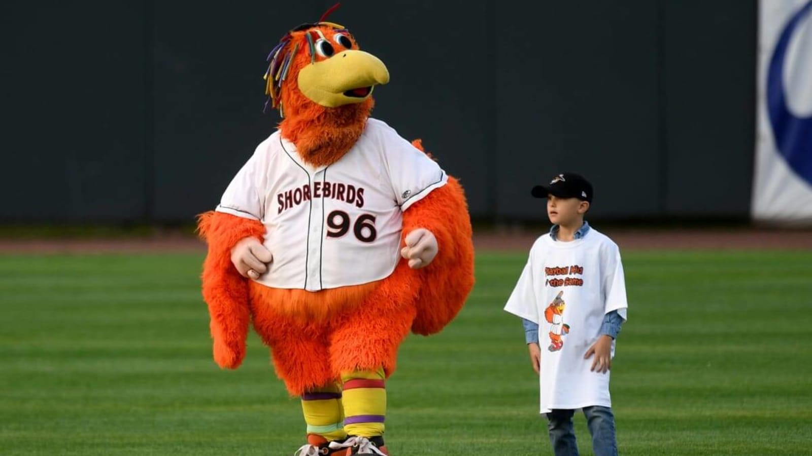 Baltimore Orioles: The Time is Now to Support Your Shorebirds