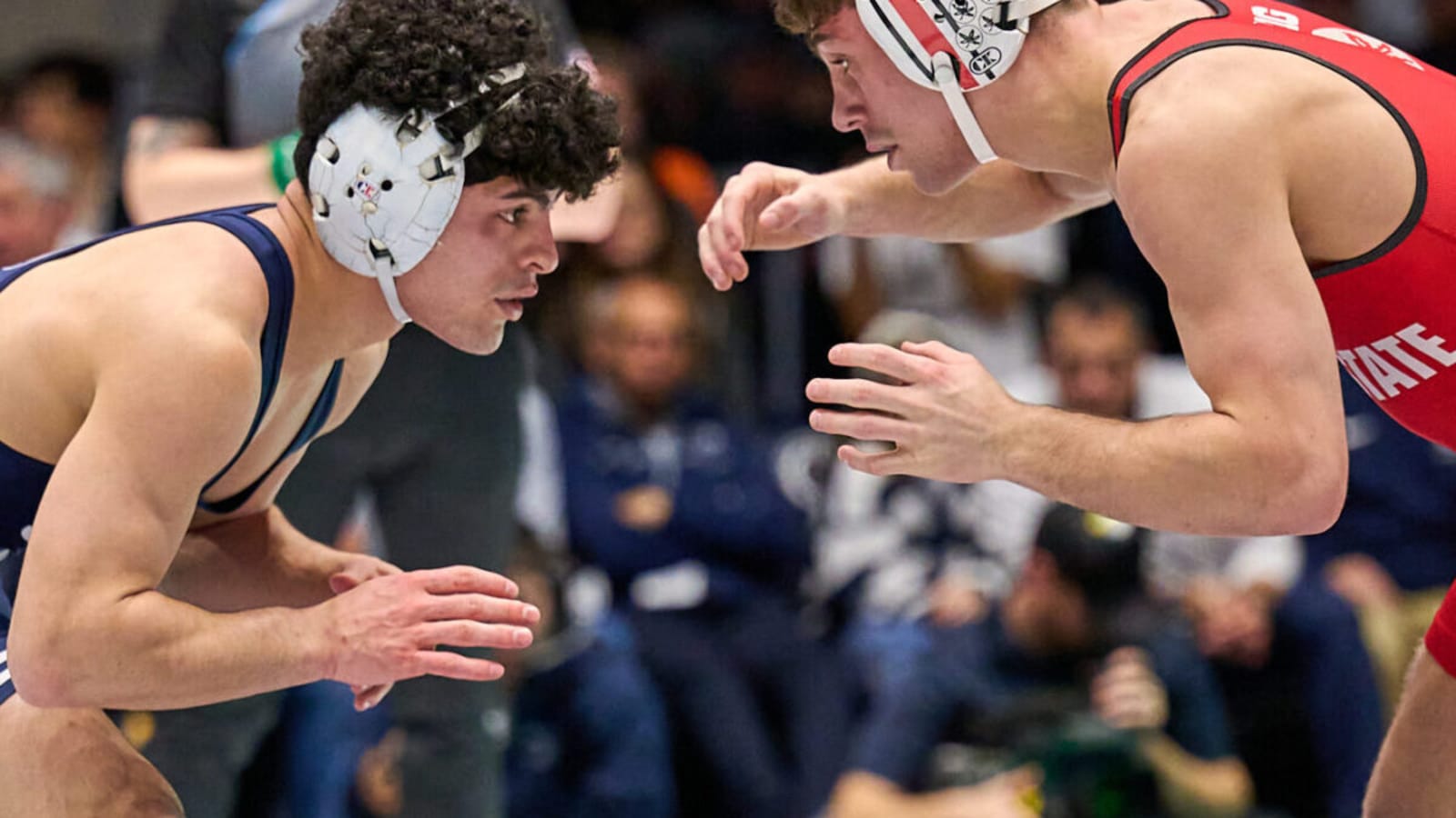 Penn State Wrestling Nittany Lions blast competition in the 2024 Black Knight Invite Yardbarker