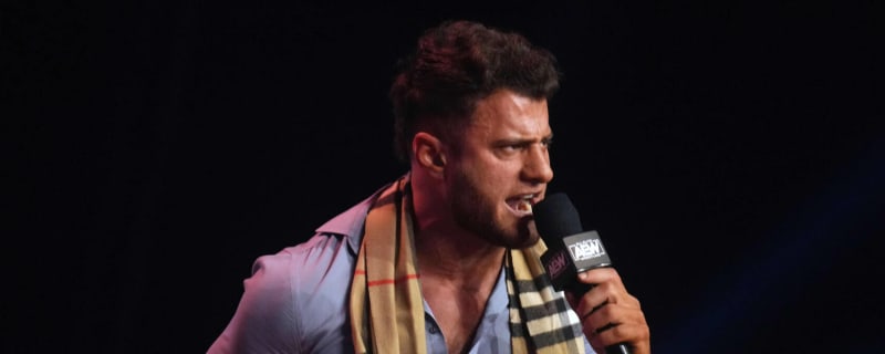Dethroned AEW Champion removed from roster page